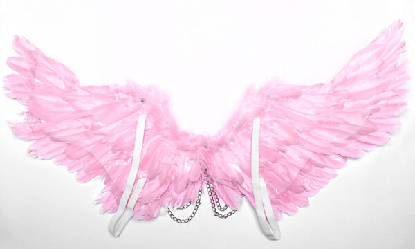 Ailes roses en plume et faux cuir à chaînes Ailes roses en plume et faux cuir à chaînes