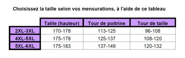 Haut en voilage brodé à fronces