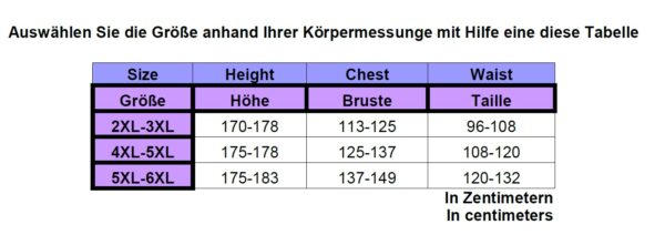 Haut en voilage brodé à fronces